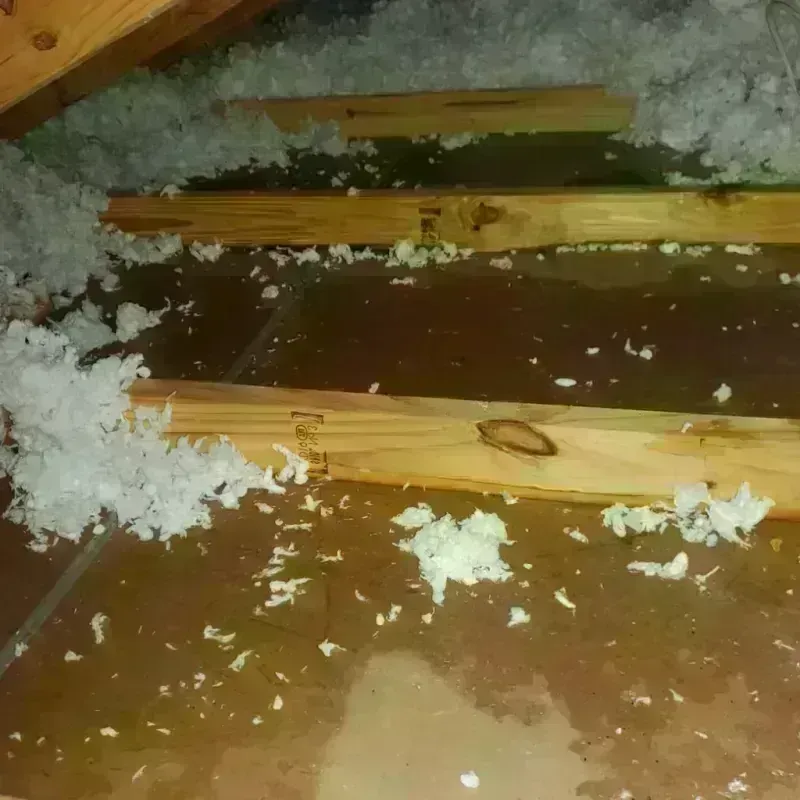 Attic Water Damage in Moraine, OH