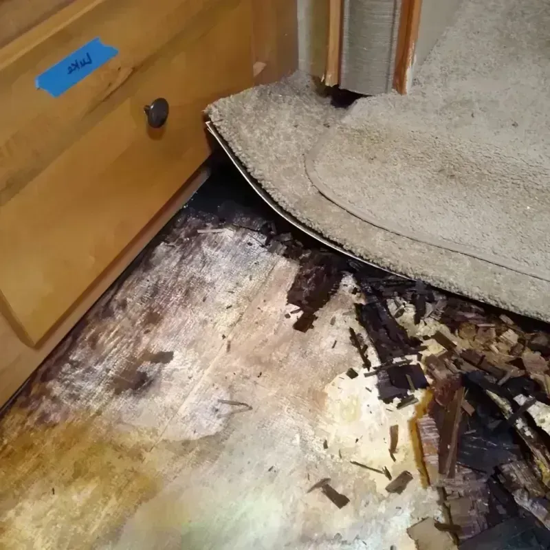 Best Wood Floor Water Damage Service in Moraine, OH